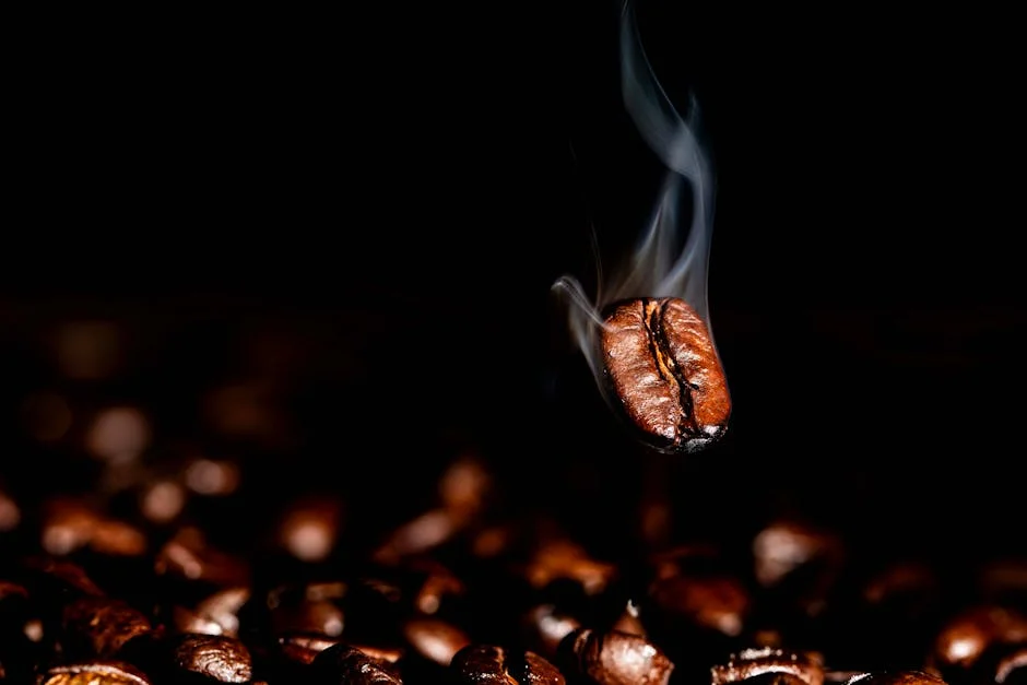 Light Roast Coffee Beans Buyer's Guide: What to Look For