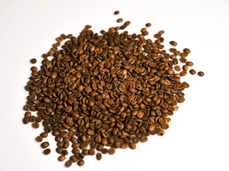 Cold Brew Decaf Buyer's Guide: Formats and Top Picks