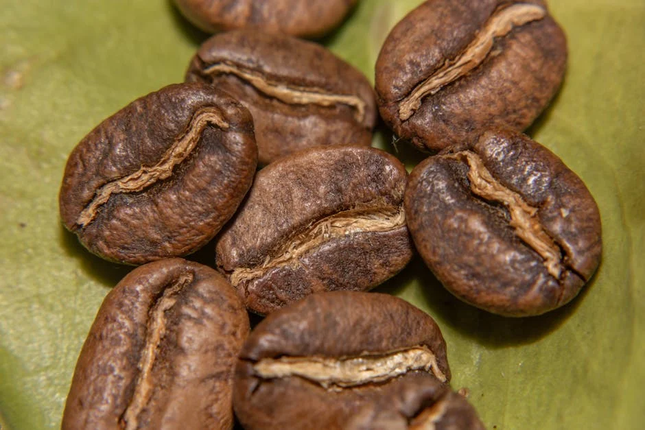 Best Coffee Bean Bags for Home Roasters: Tested Picks