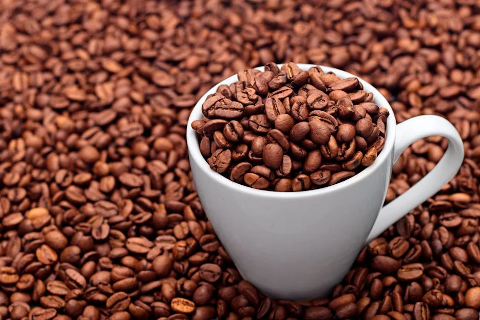 Gourmet Coffee Beans Buyer's Guide: What to Look For