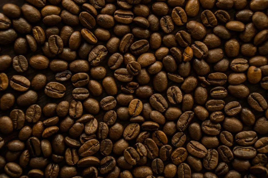 Best Decaf Coffee Beans: Top Picks Reviewed